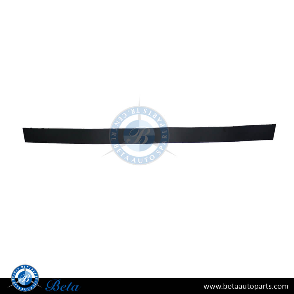 Left Side Front Door Moulding for Tesla Model X 2015-2021 models, Part Number 1035201-00-D Left Side Front Door Moulding for Tesla Model X 2015-2021 models, Part Number 1035201-00-D
